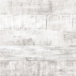 Дуб Небраска 42947 -foto2