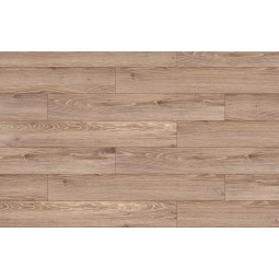 Дуб Мекс 38202 -foto2