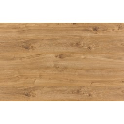 Дуб Гуанаре 38458 -foto3