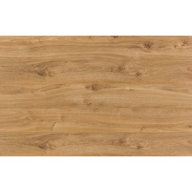 Дуб Гуанаре 38458 -foto3